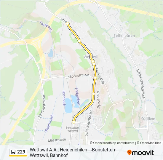 229 Bus Line Map
