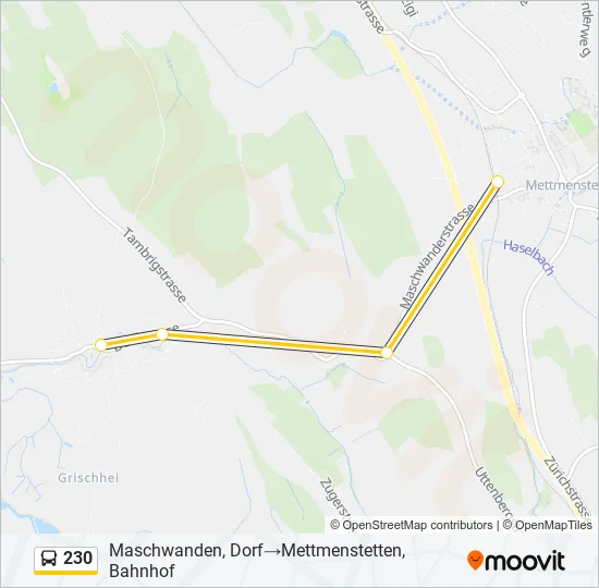230 Bus Line Map