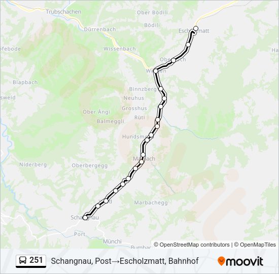 251 Bus Line Map