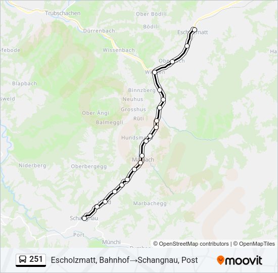 251 Bus Line Map