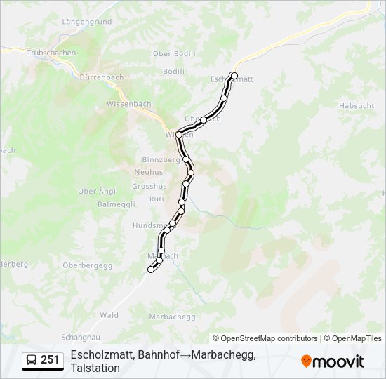 251 Bus Line Map