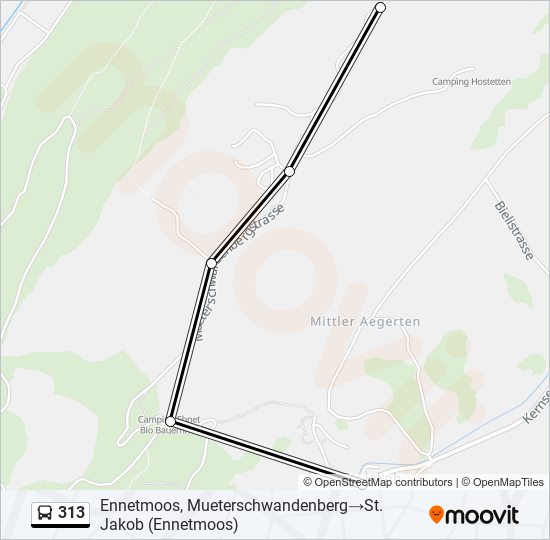 Buslinie 313 Karte