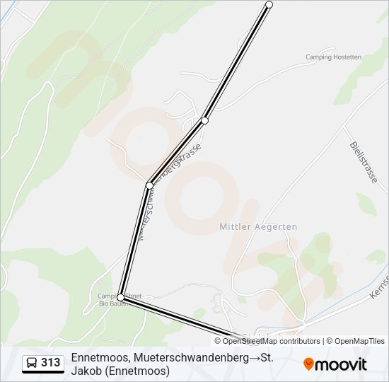 313 Bus Line Map