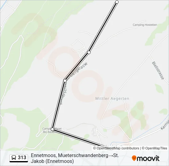 313 Bus Line Map