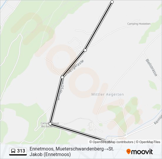 313 Bus Line Map