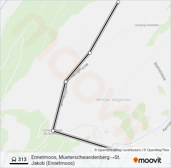 313 Bus Line Map