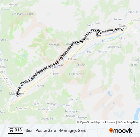 313 Bus Line Map