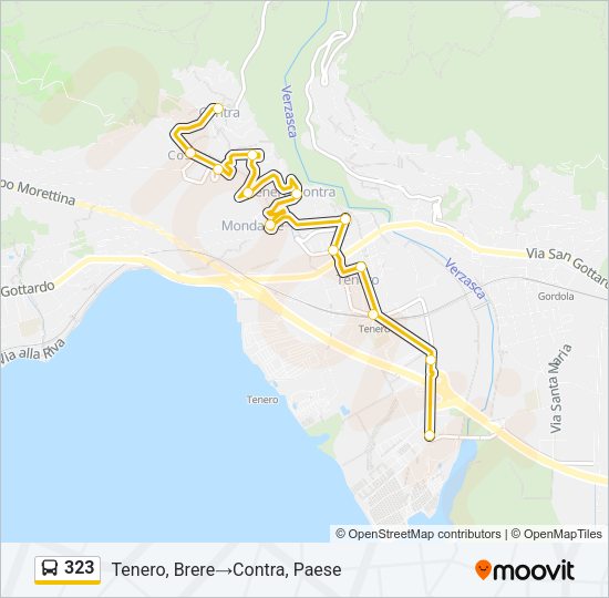 323 Bus Line Map