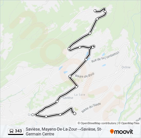 343 Bus Line Map