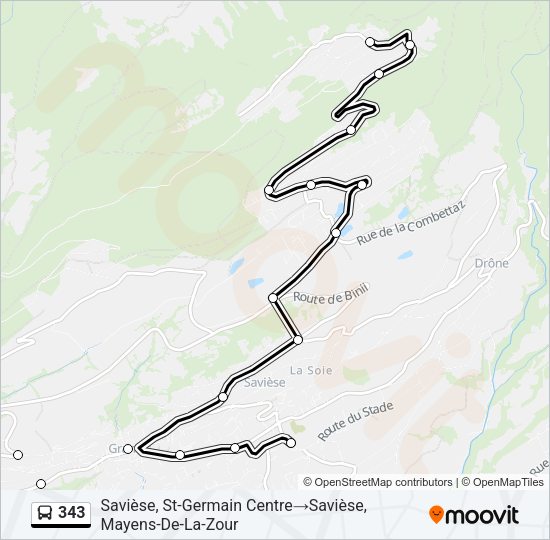 343 Bus Line Map