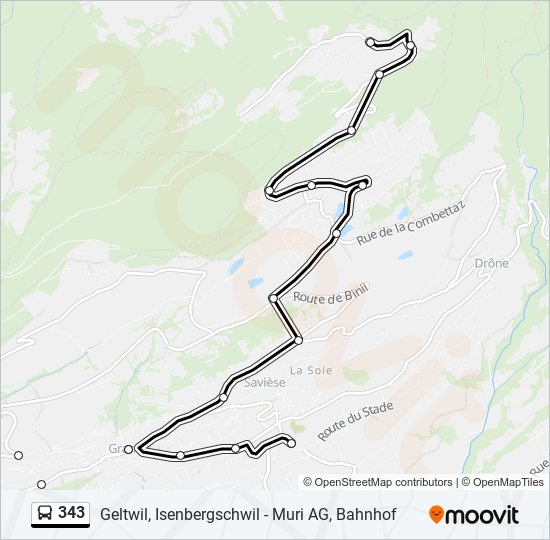 Buslinie 343 Karte
