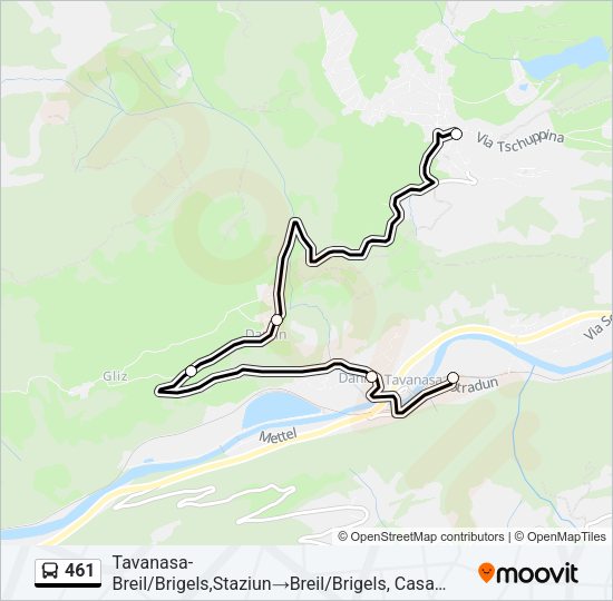 461 Bus Line Map
