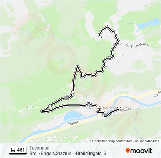 461 Bus Line Map