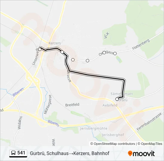 541 Bus Line Map