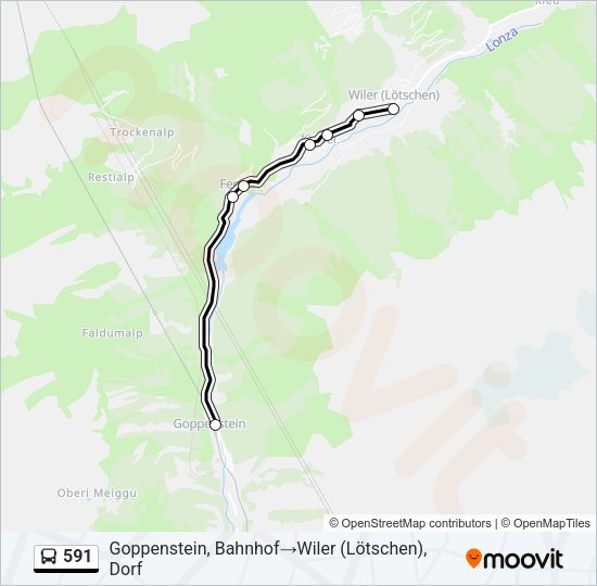 591 Bus Line Map