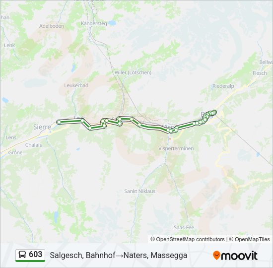 603 Bus Line Map