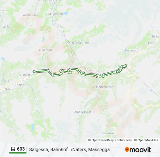 603 Bus Line Map