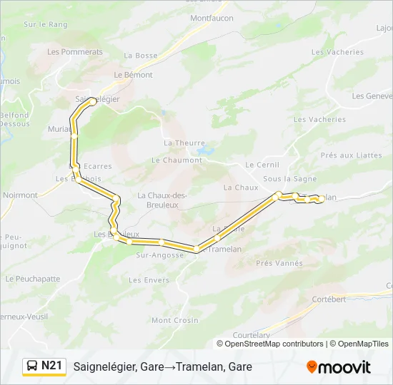 N21 Bus Line Map
