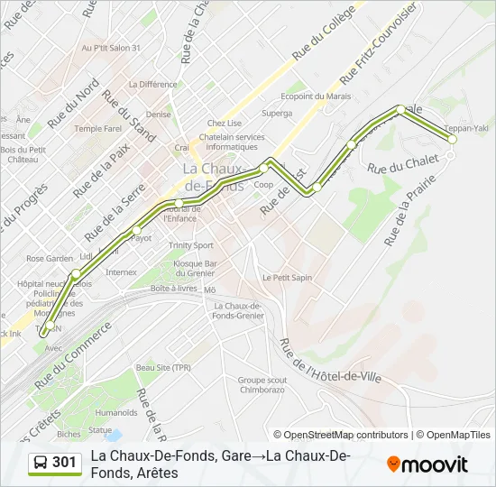 301 Bus Line Map