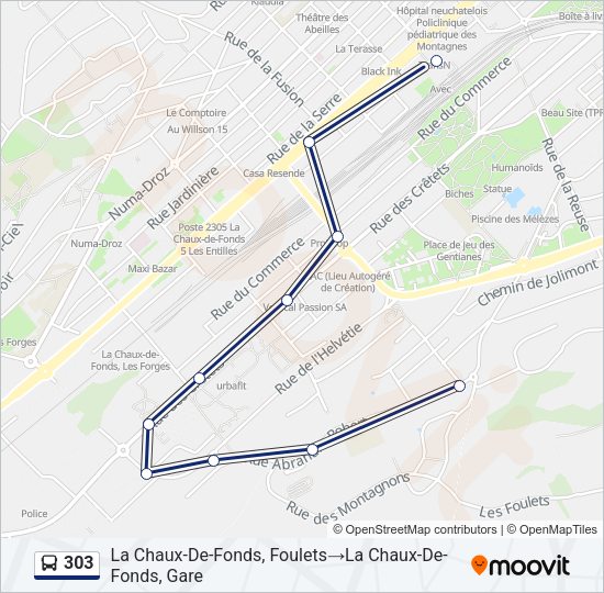 303 Bus Line Map