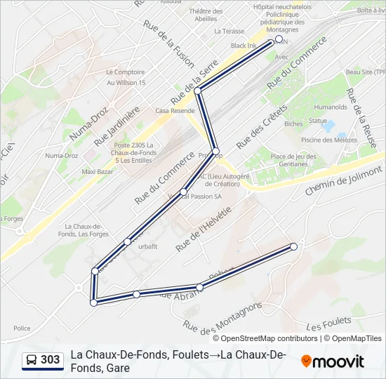 303 Bus Line Map