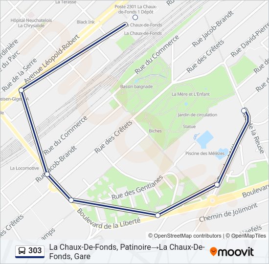 303 Bus Line Map