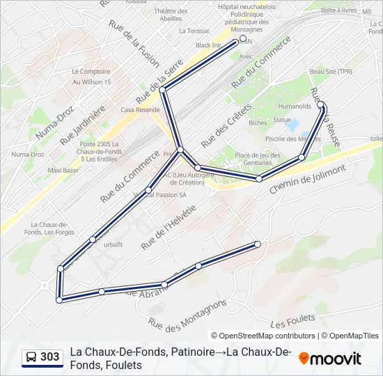 303 Bus Line Map