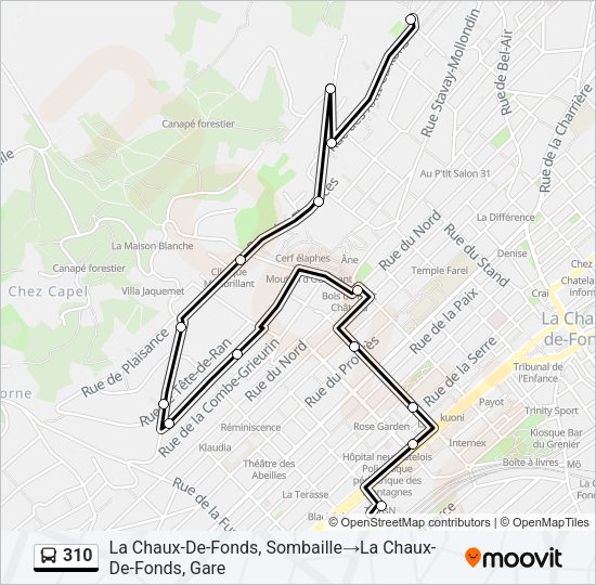 310 Bus Line Map