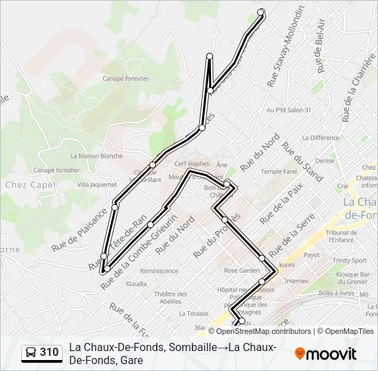 310 Bus Line Map