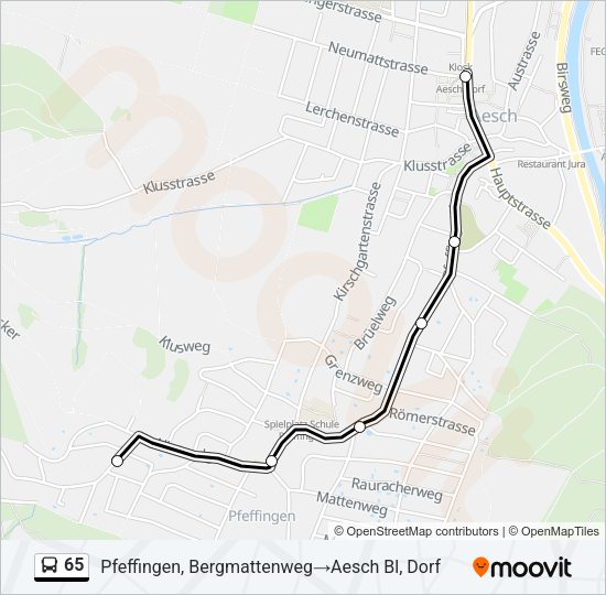 65 Bus Line Map