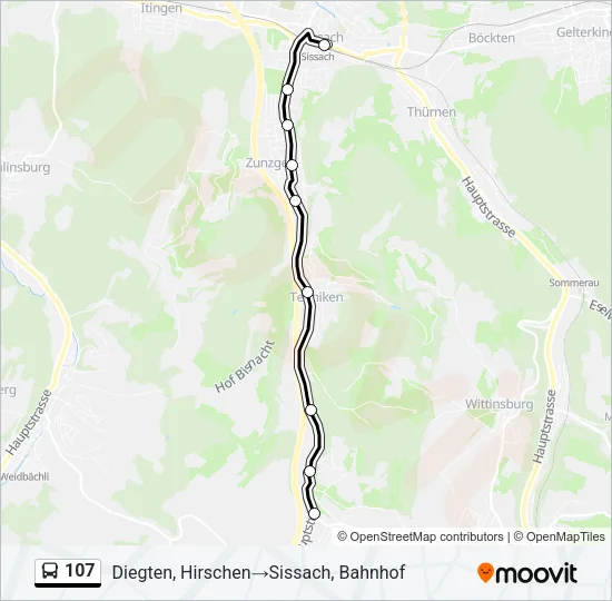 107 Bus Line Map