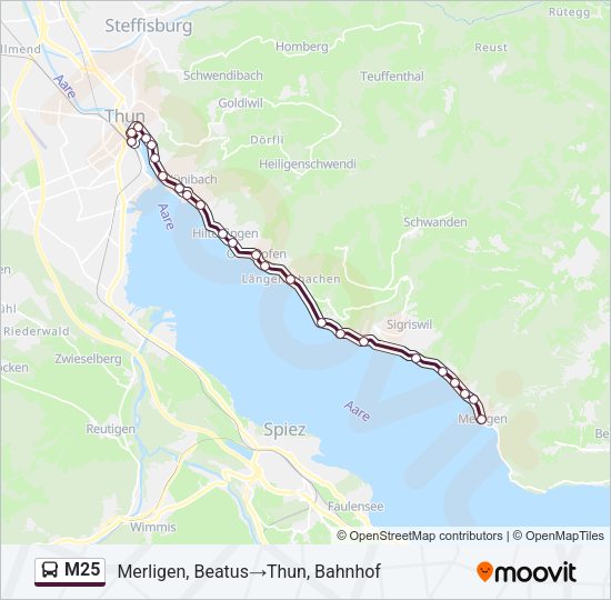 M25 Bus Line Map