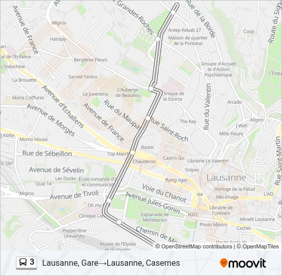 3 Bus Line Map