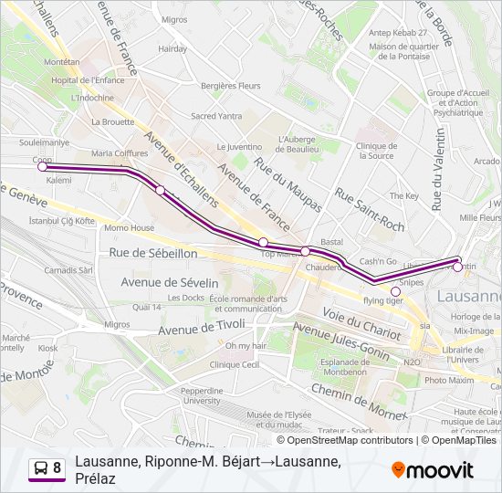 8 Bus Line Map