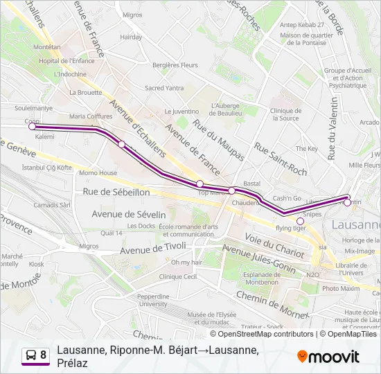 8 Bus Line Map