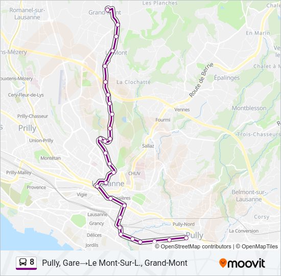 8 Bus Line Map