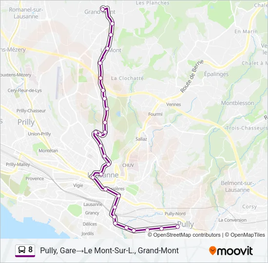 8 Bus Line Map