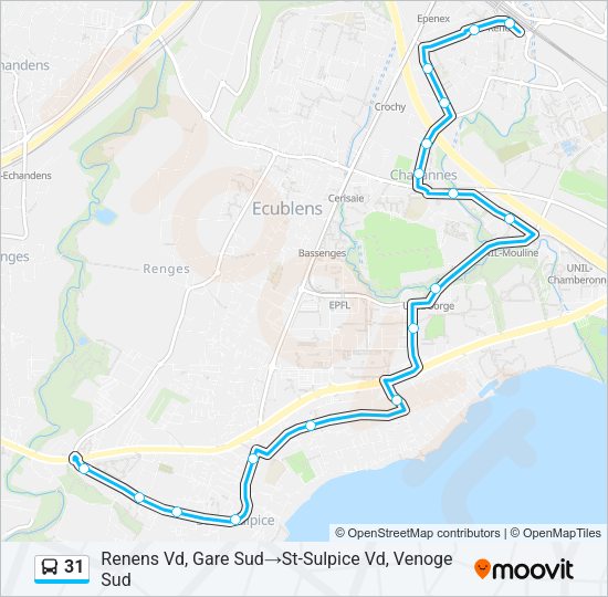 31 Bus Line Map