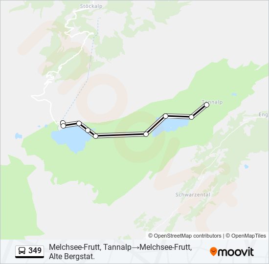 349 Bus Line Map