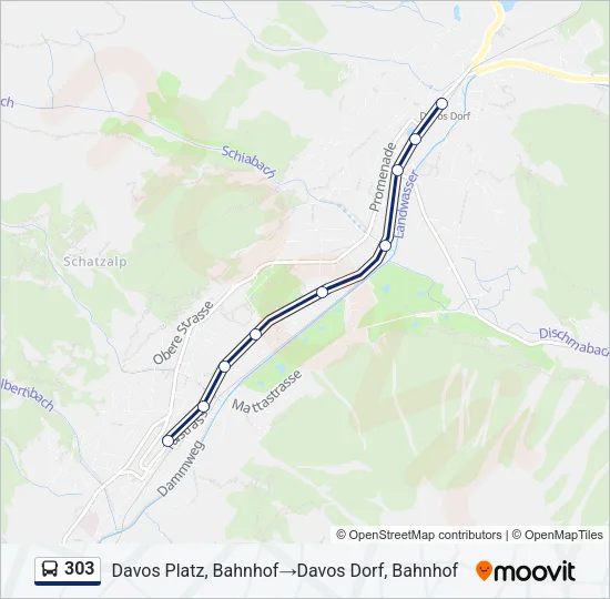 303 Bus Line Map