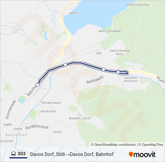 303 Bus Line Map