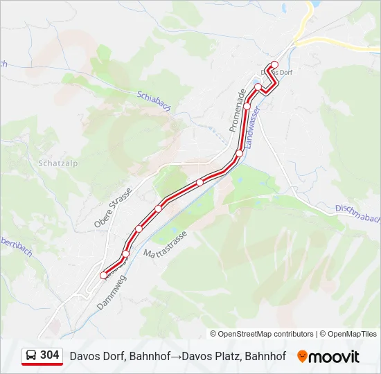 304 Bus Line Map