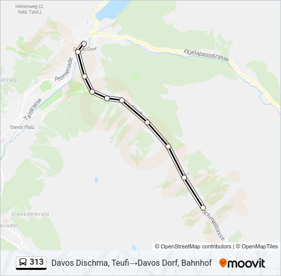 313 Bus Line Map