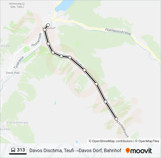 313 Bus Line Map