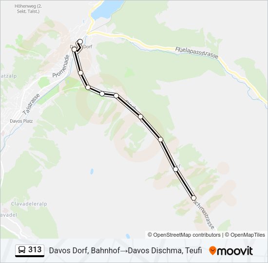 313 Bus Line Map