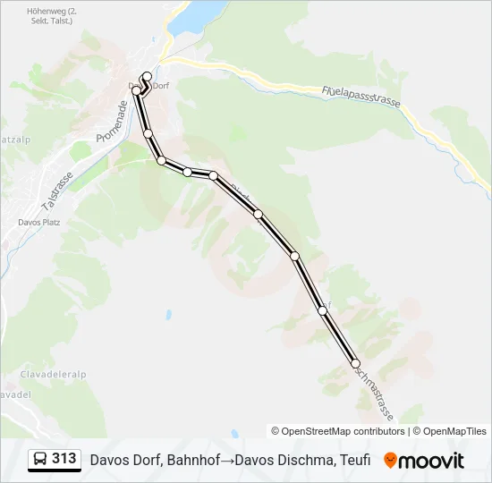 313 Bus Line Map