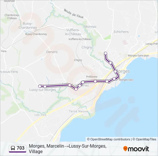 703 Bus Line Map