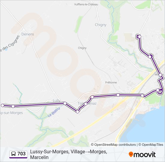 703 Bus Line Map