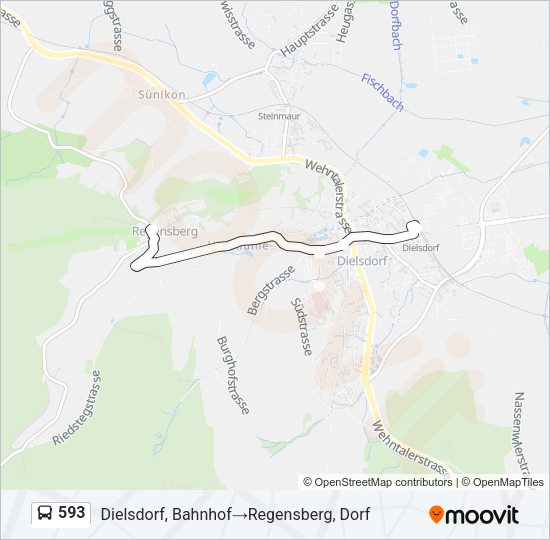 593 Bus Line Map