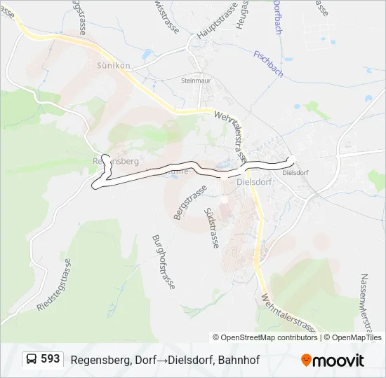 593 Bus Line Map